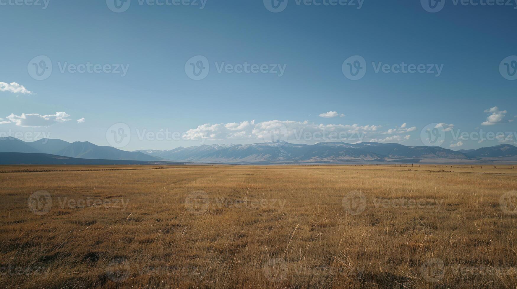 Dry Grass Field with Distant Snowy Mountain Range Under a Blue Sky photo