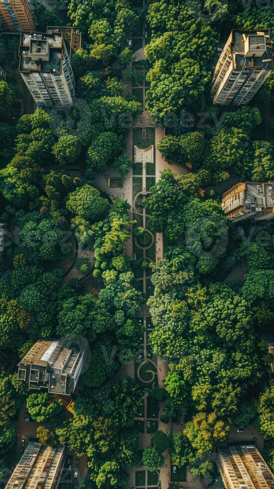 Aerial View of a City Park with Winding Paths and Buildings Surrounded by Lush Green Trees photo
