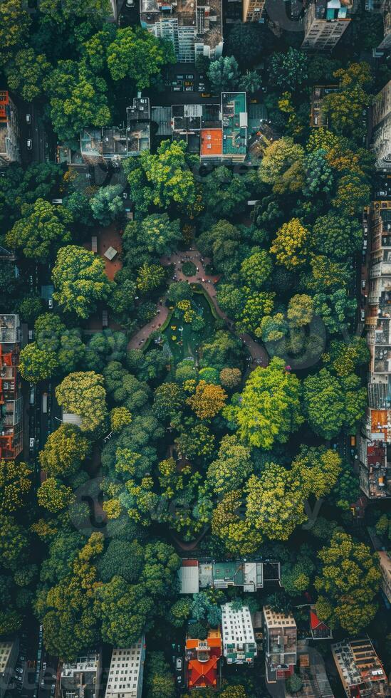 Aerial View of a Park Surrounded by Urban Buildings photo