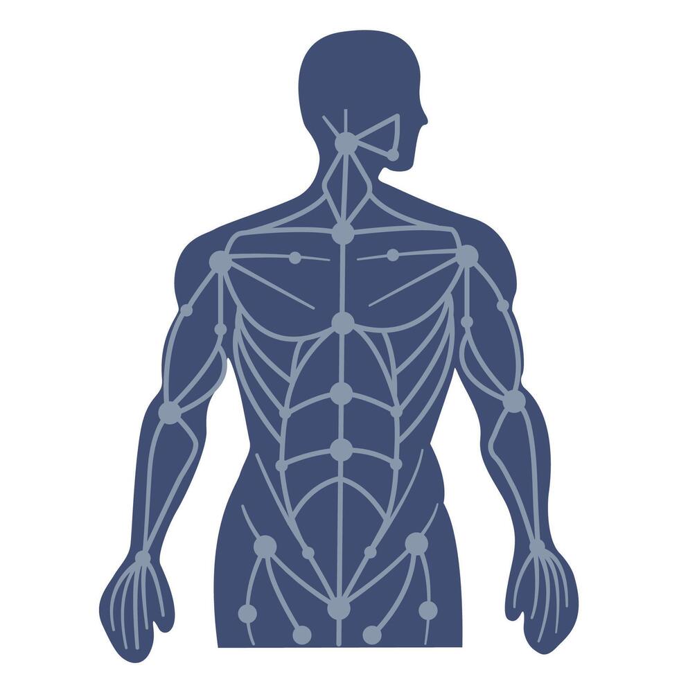 body with Acupuncture pressure points vector