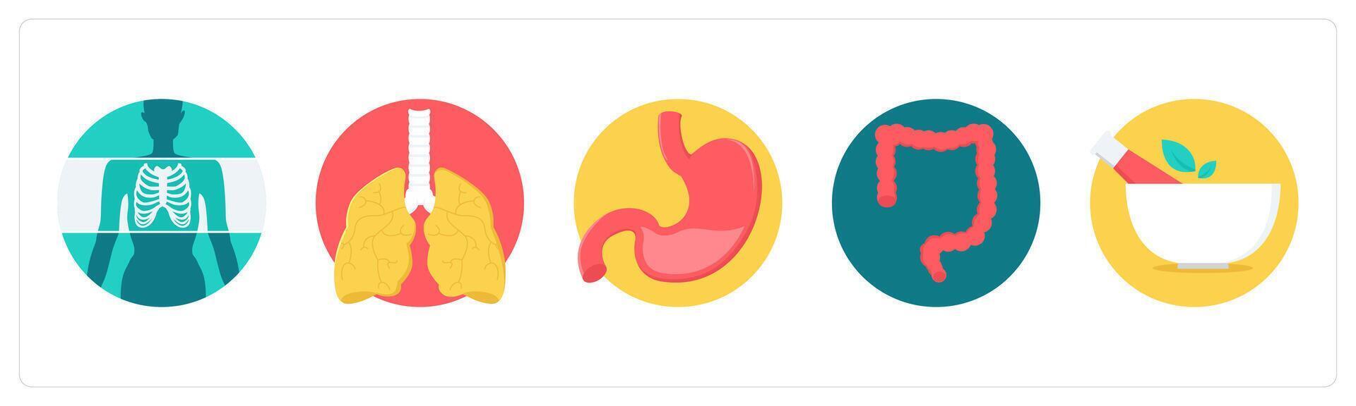 A set of 5 medical icons as x-ray, lungs, stomach vector