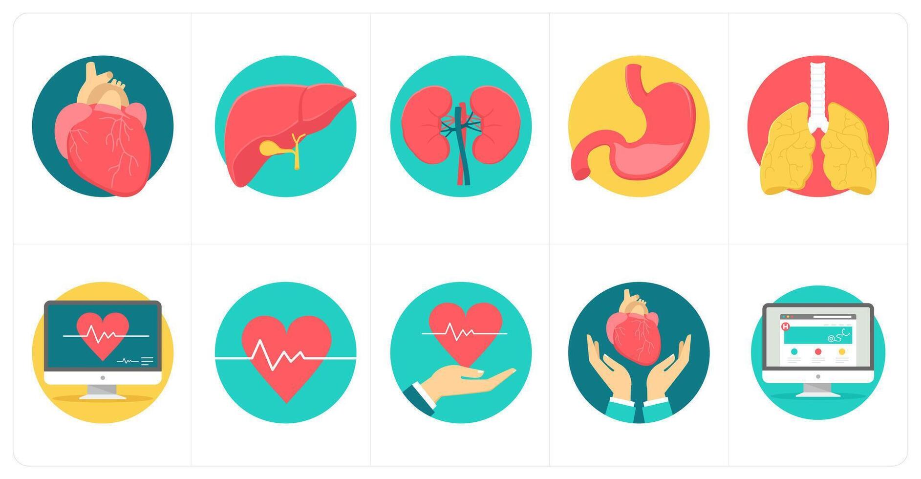 A set of 10 Medical icons as heart, lungs, kidneys vector
