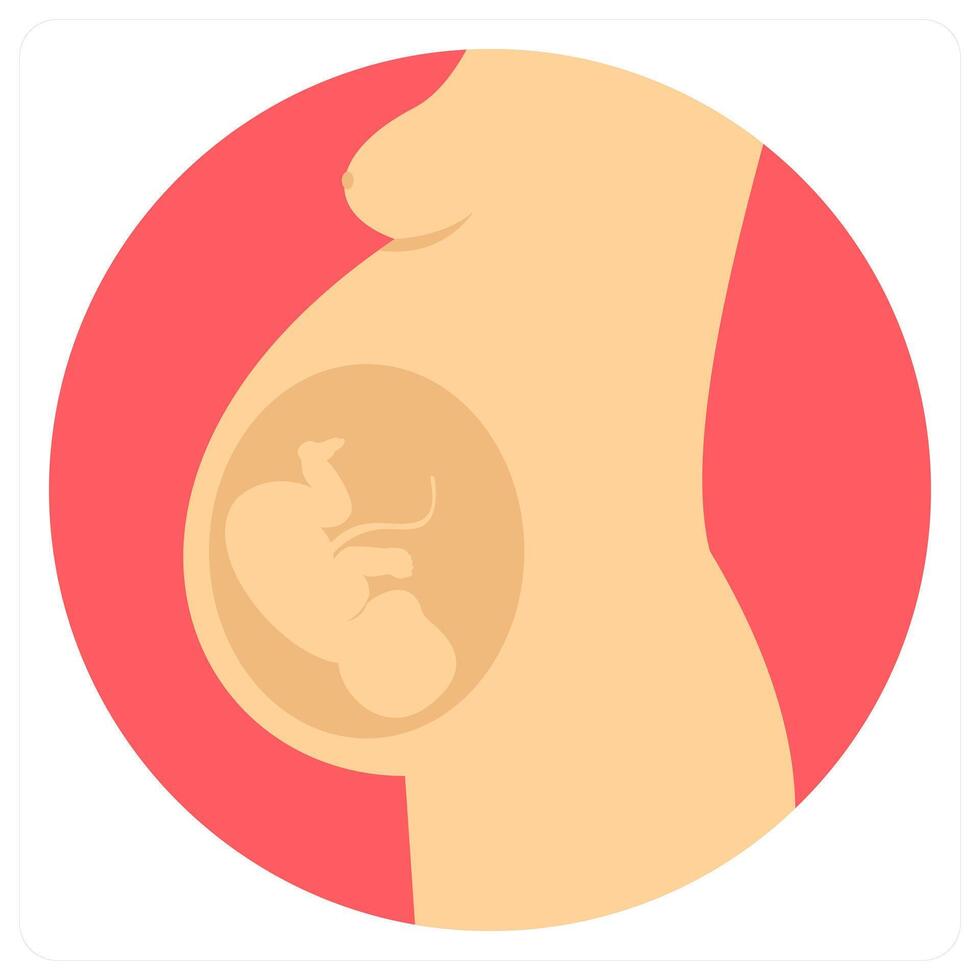 Obstetrics and anatomy icon concept vector