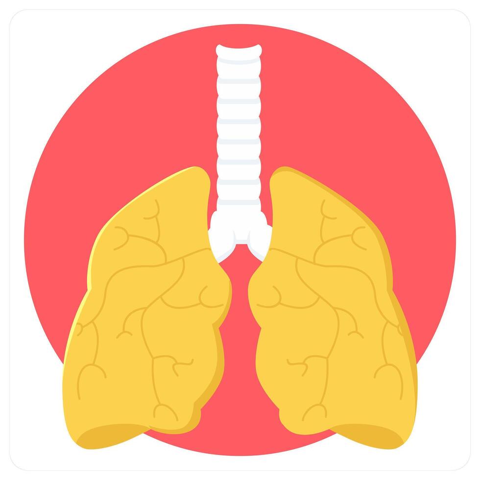 Lungs and heart care icon concept vector