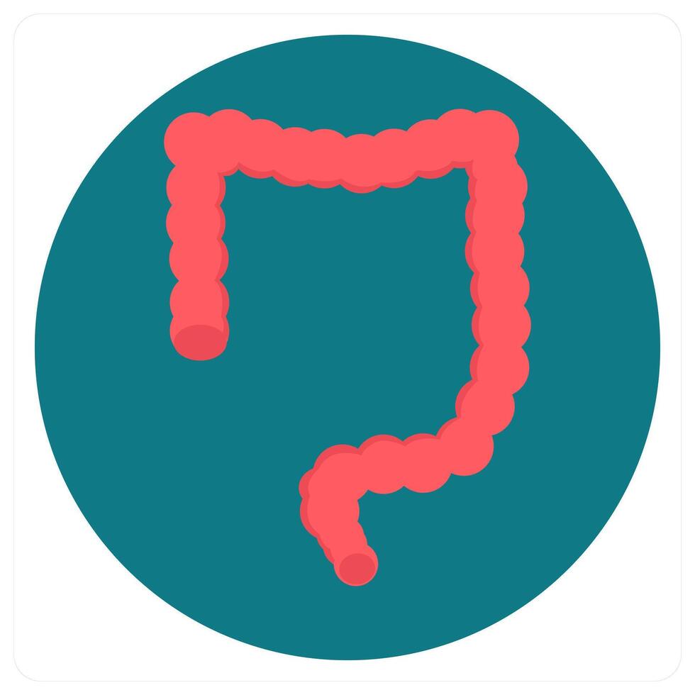 Intestine and medical icon concept vector