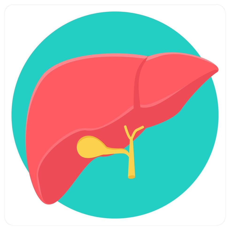 Liver and medicine icon concept vector