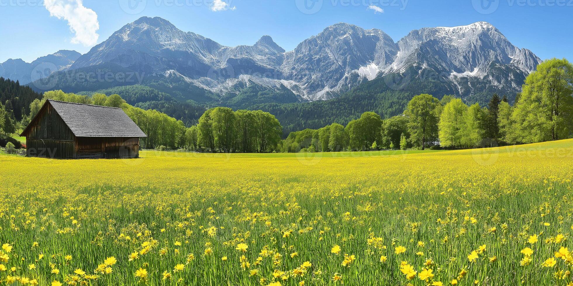 A beautiful landscape with a cabin in the middle of a field of yellow flowers photo