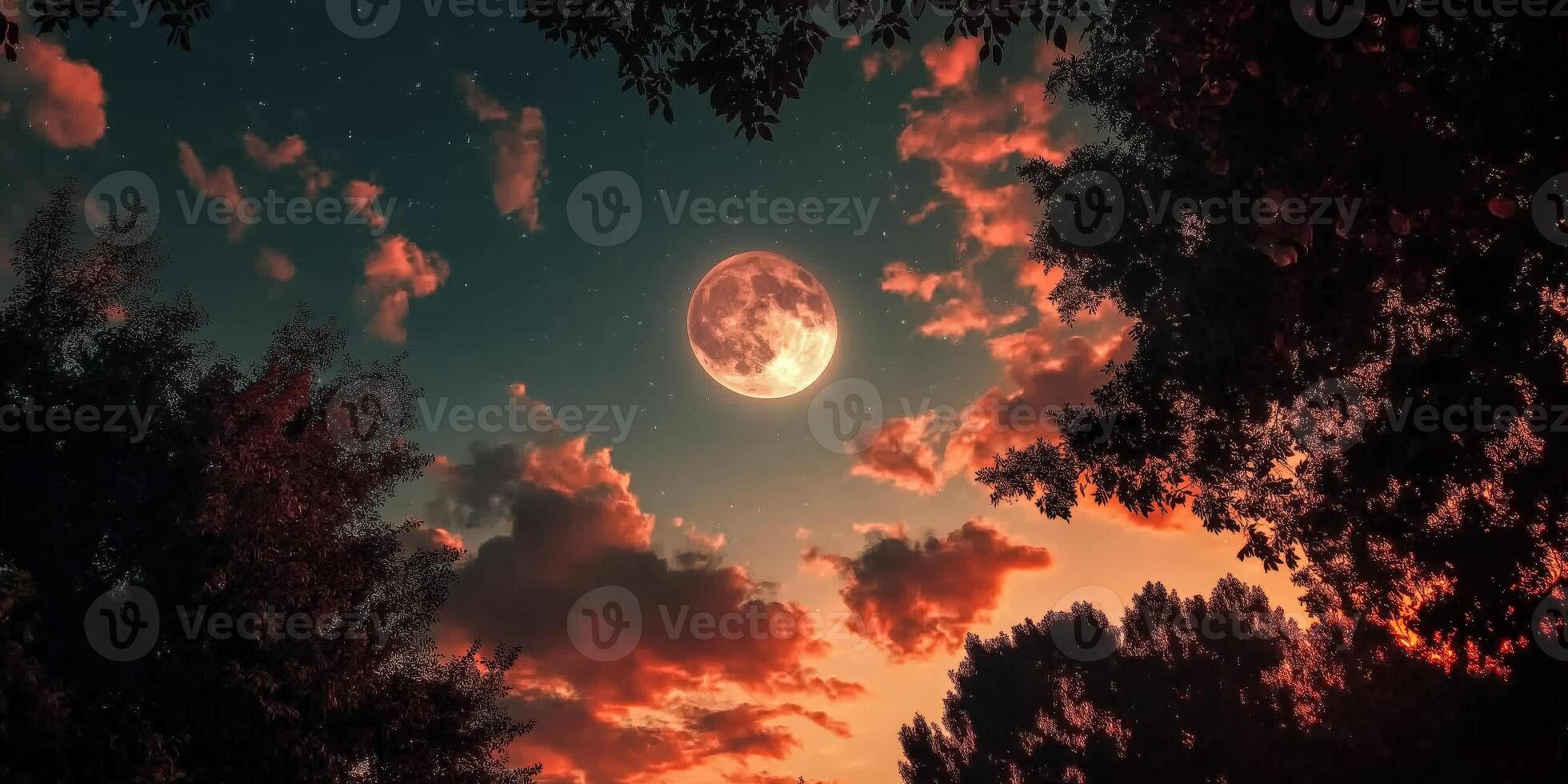 The moon is seen in the sky above trees photo