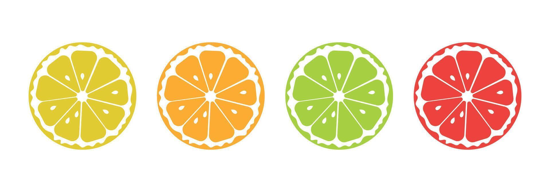 Citrus fruits set. Collection of lemon, orange, lime and grapefruit icons. vector