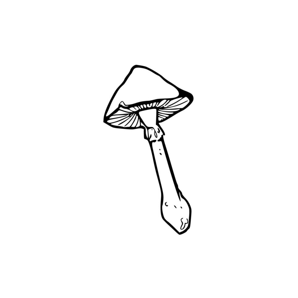 A black and white drawing of a mushroom vector