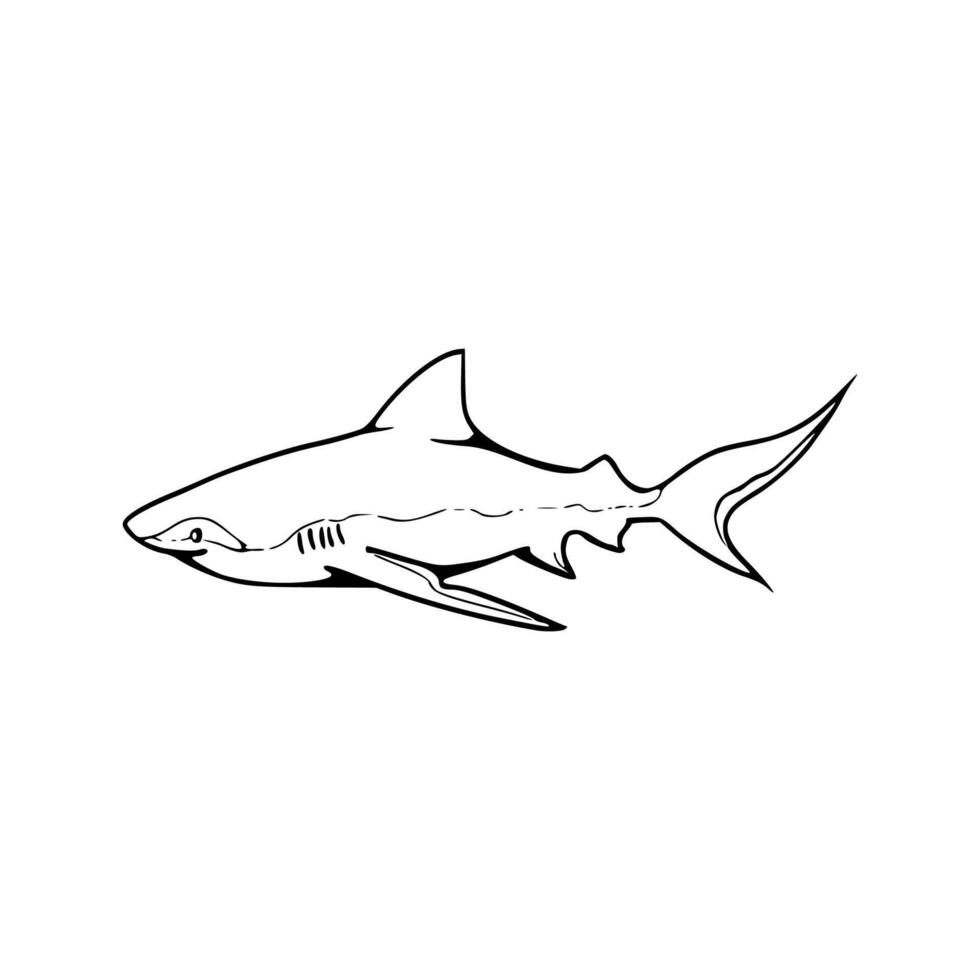 Shark coloring pages for kids vector