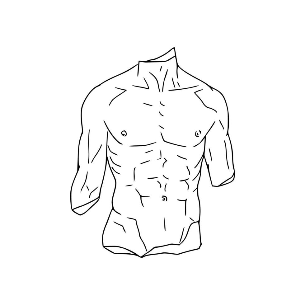 A drawing of a man's torso vector