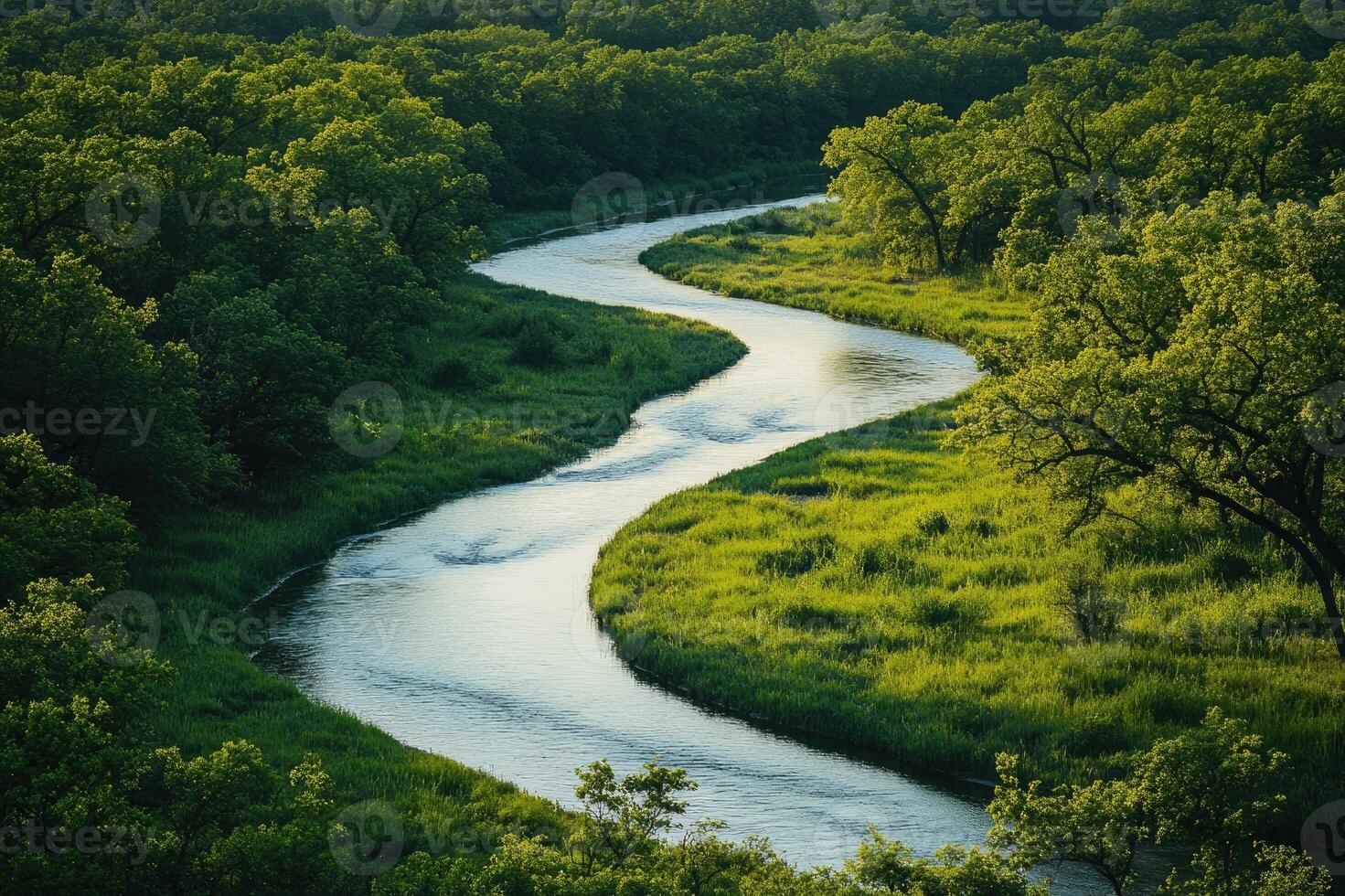 River meandering across a green valley surrounded by lush trees photo