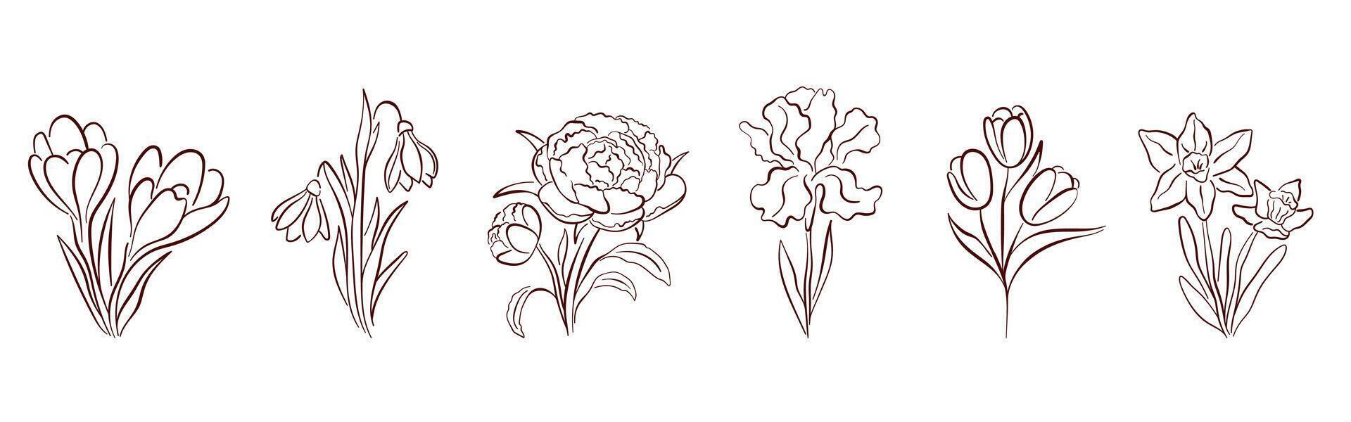 Spring flower line art set with crocus, snowdrop, peony, iris, tulip, and daffodil. Elegant botanical collection for design, print and decoration. Isolated on white background. vector