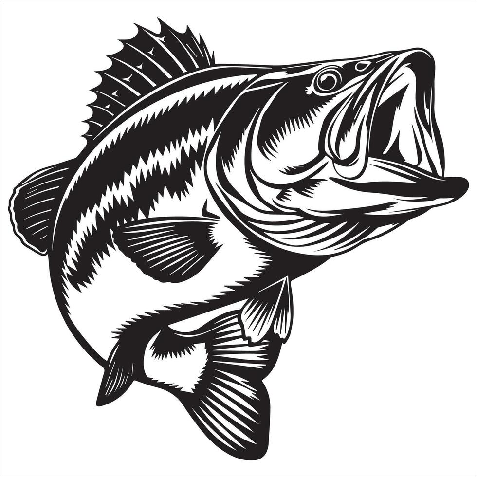 Largemouth Bass Close-Up vector