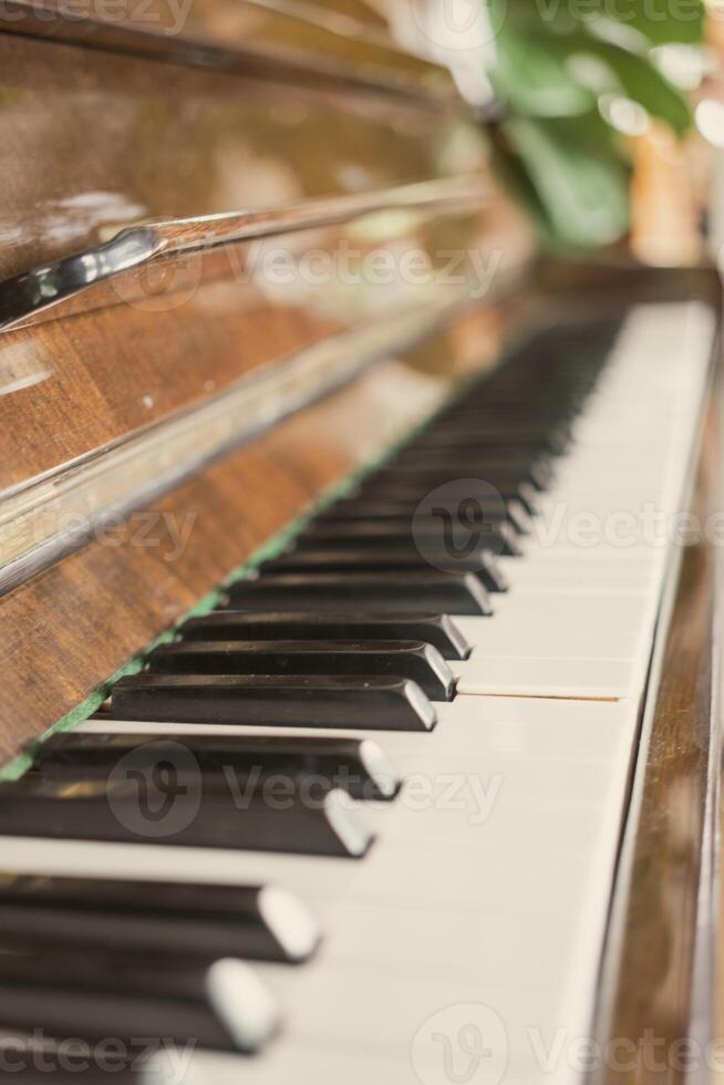Side view of piano keyboard photo