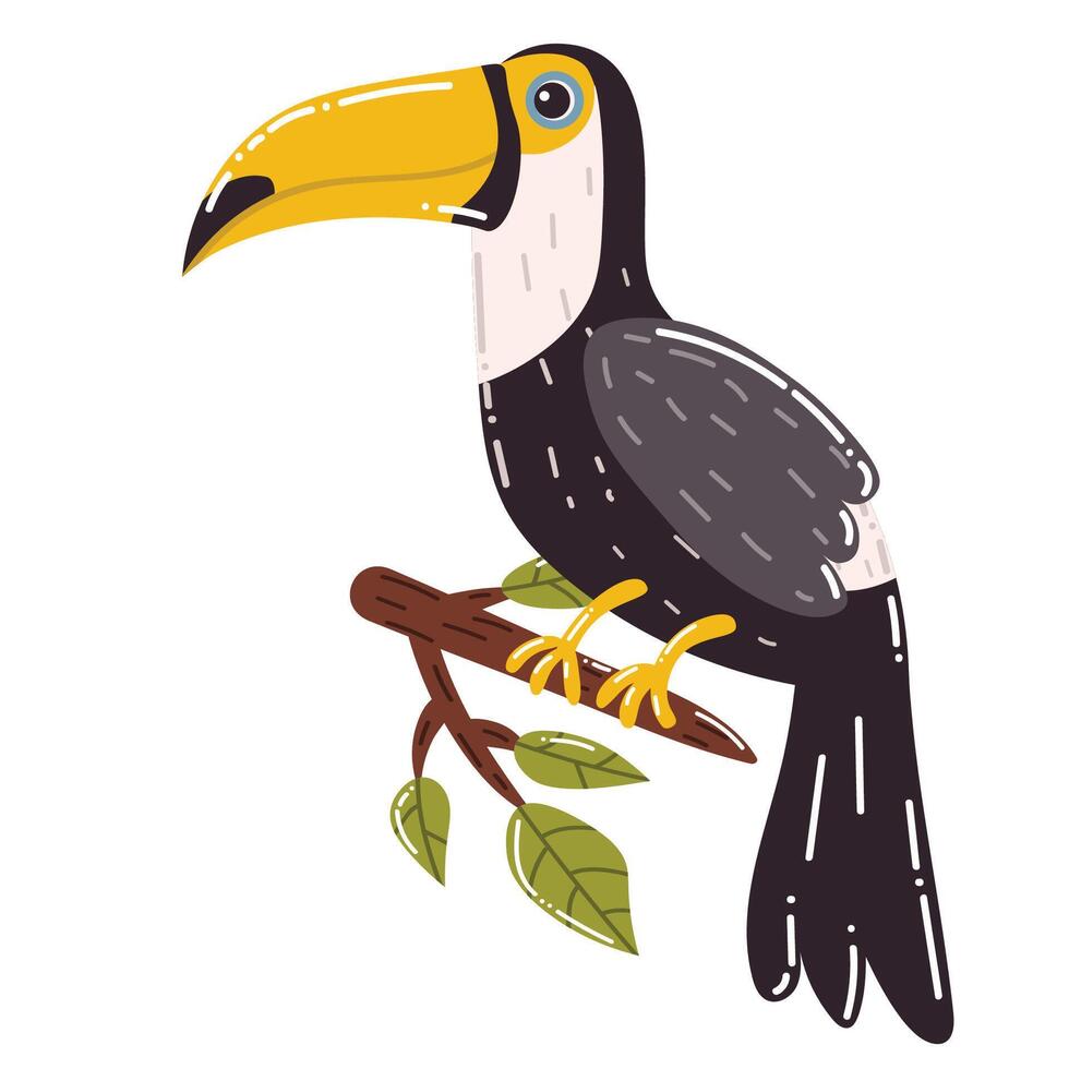 Cute cartoon Toucan, big tropical bird in flat style isolated on white background. vector