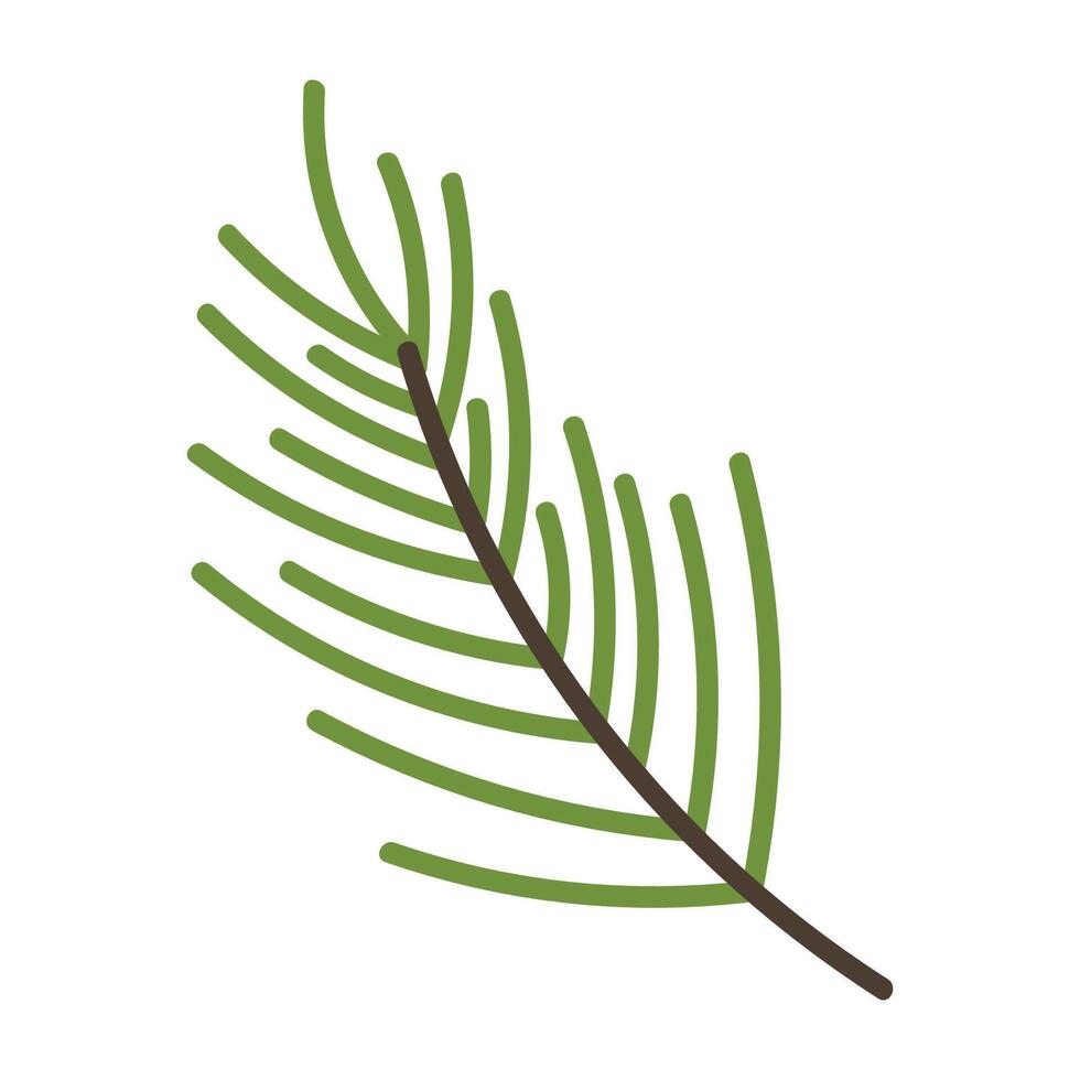 Cute cartoon fir tree branch in flat style. Merry Christmas design element isolated on white background. vector
