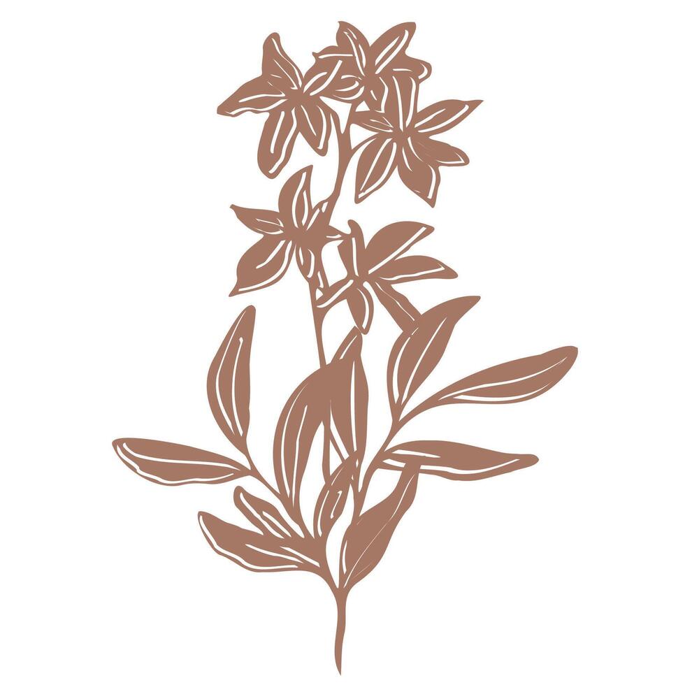 Minimalistic botanical illustration. bouquet with hand drawn flowers and leaves in mocha. silhouettes, emphasizing natural, organic beauty in a modern style for print, tattoo vector