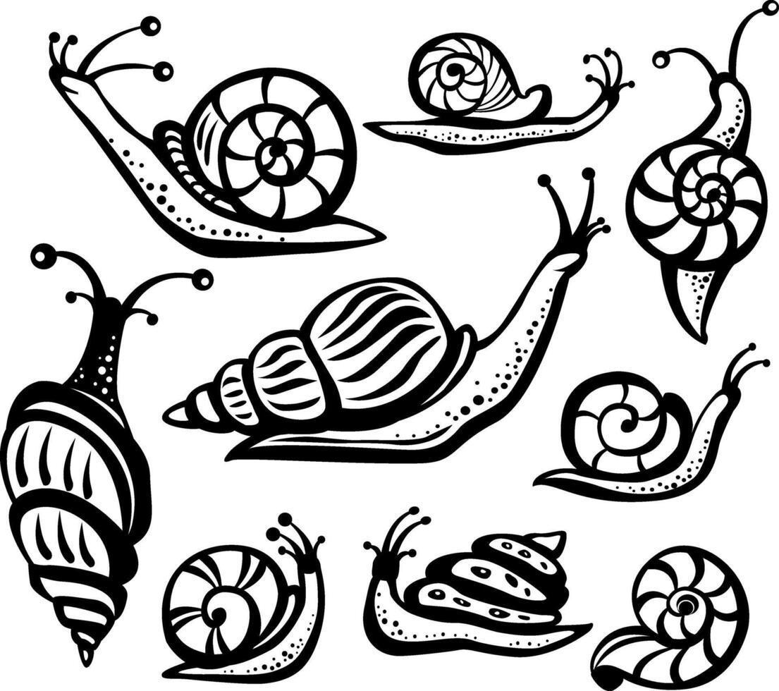 Decorative Stylized Contour Snail vector