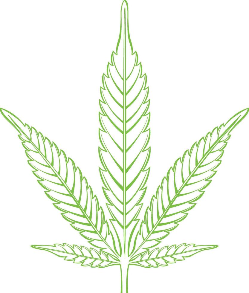 Cannabis leaf, Line illustrationPrint vector