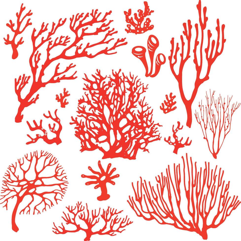 Set of underwater coral reef plants vector