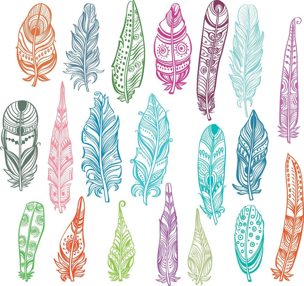 Decorative Feather, line illustration vector