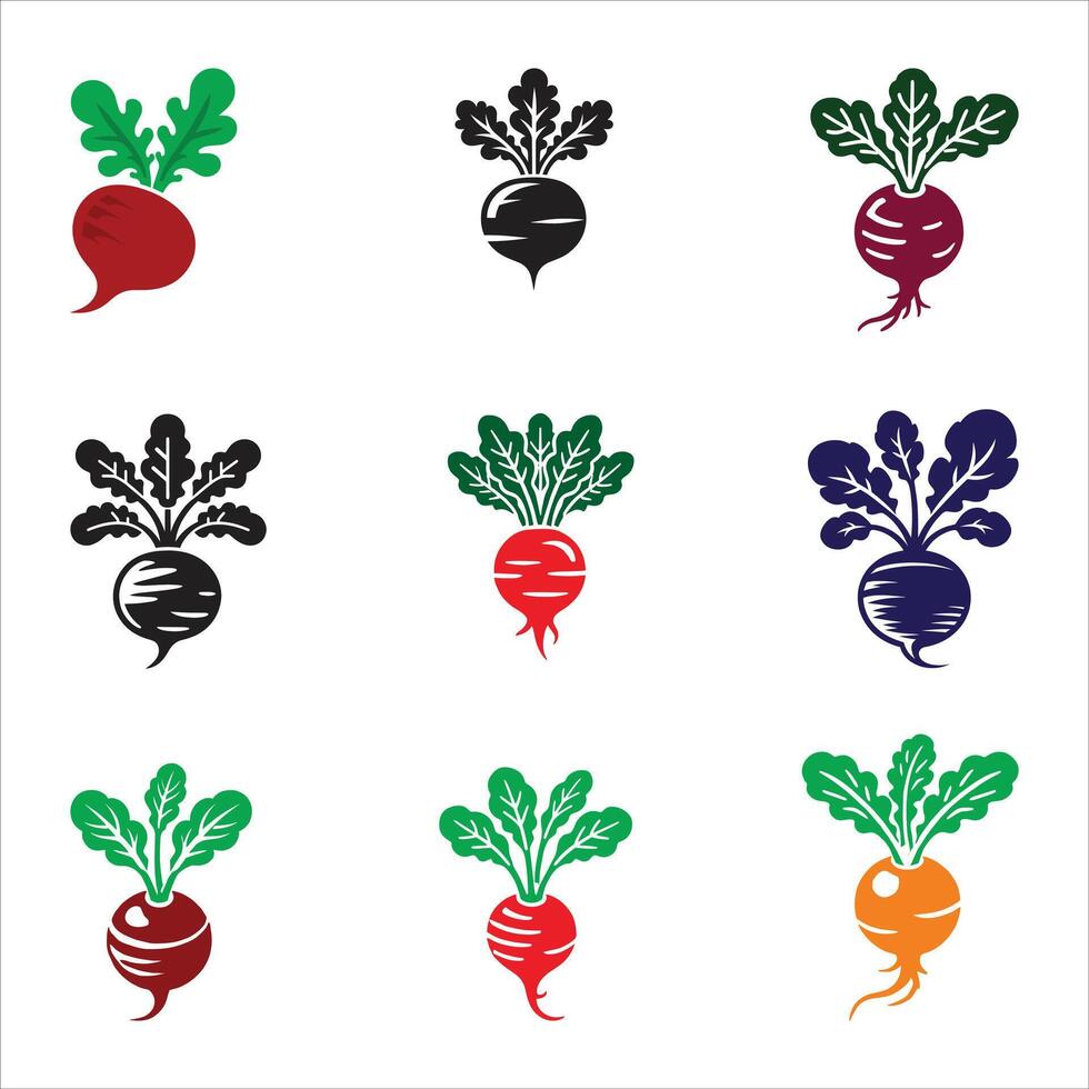 A set of beetroot icons vector