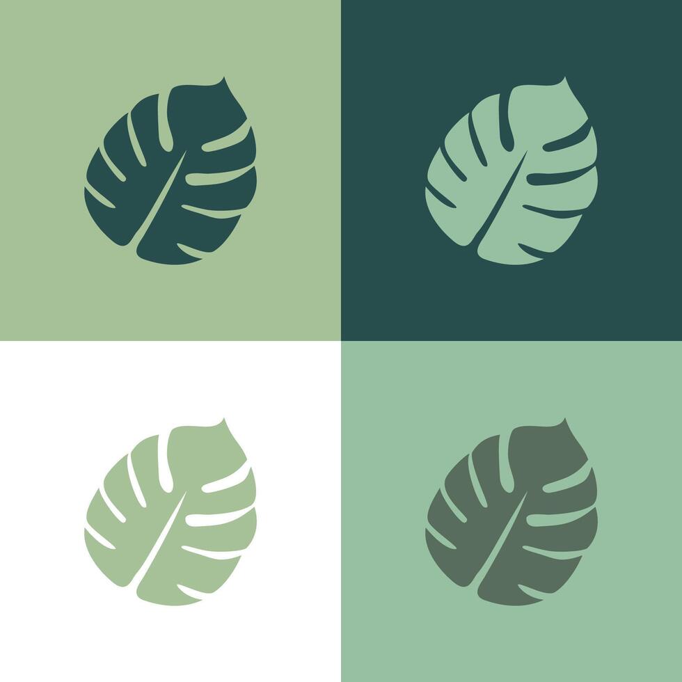 Monstera leaf icon logo leaves silhouette design background isolated vector