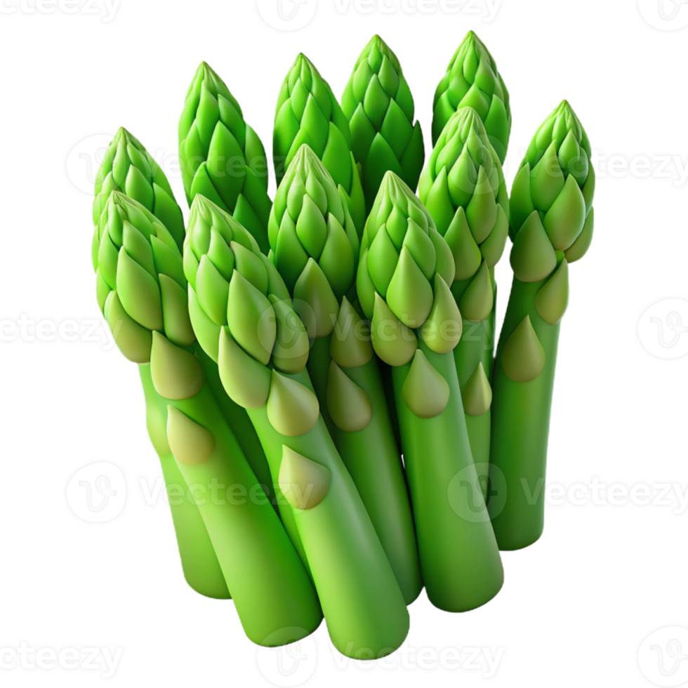 Vibrant Green Asparagus 3D Illustration png