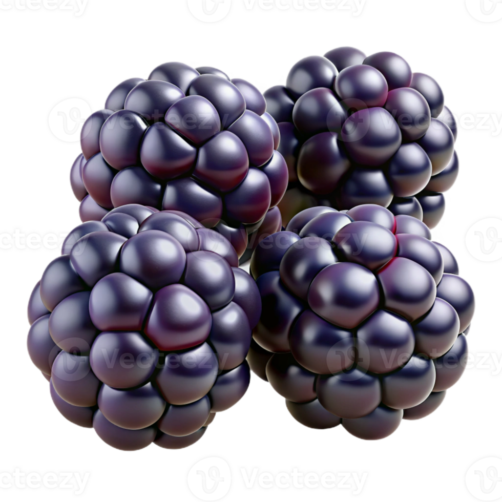 3D Render of Four Blackberries png