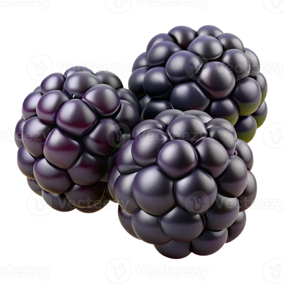 3D Render of Blackberries png