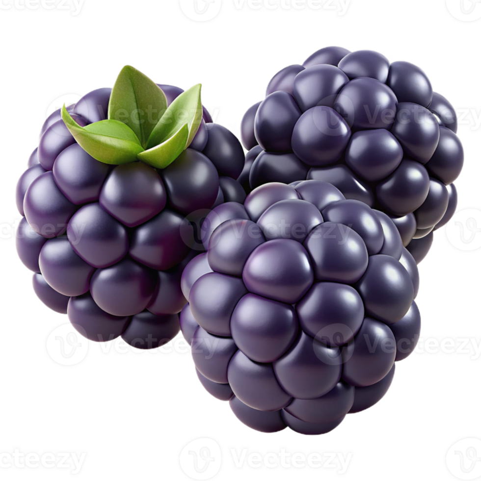 3D Render of Three Blackberries with Leaves png