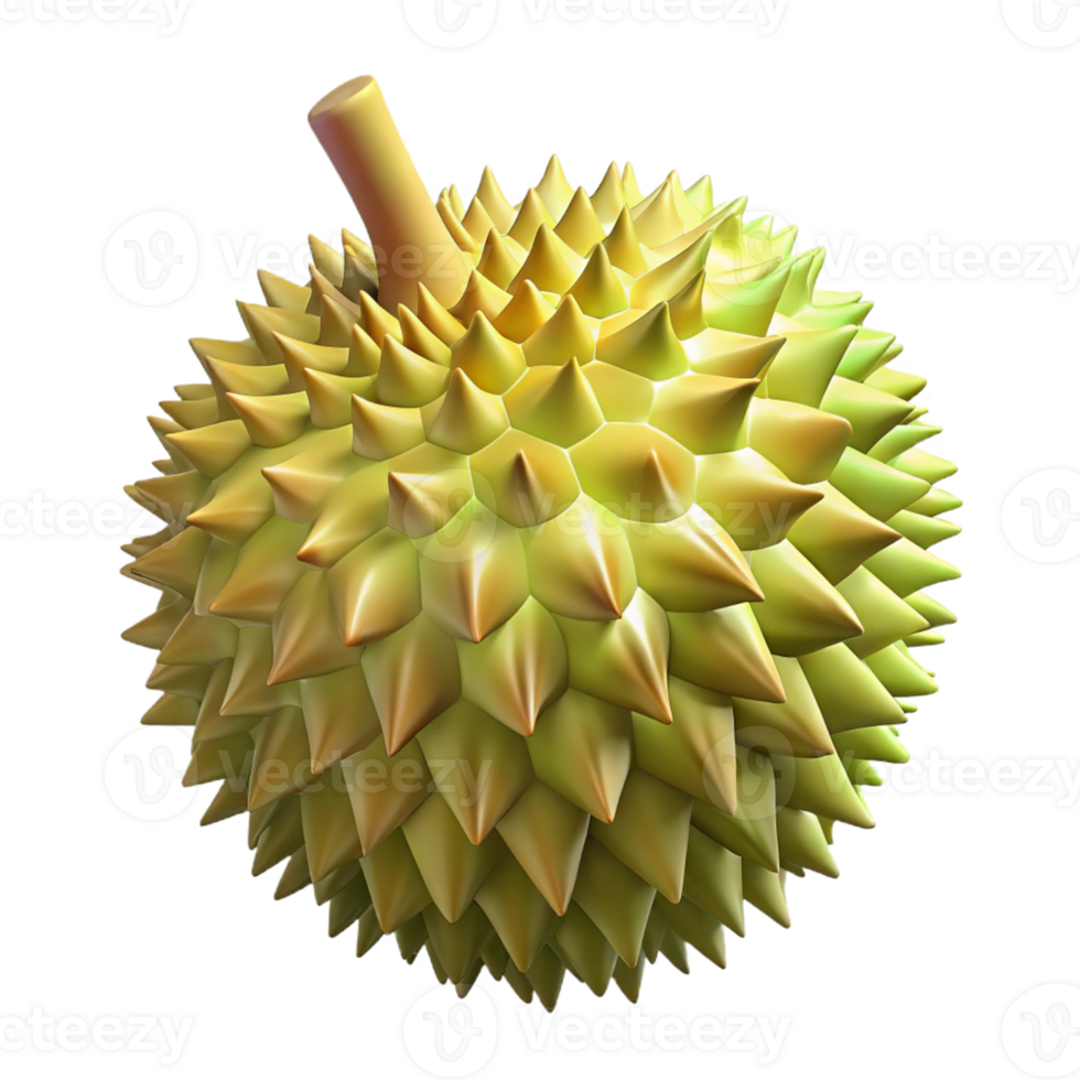 3D Durian Fruit Illustration png