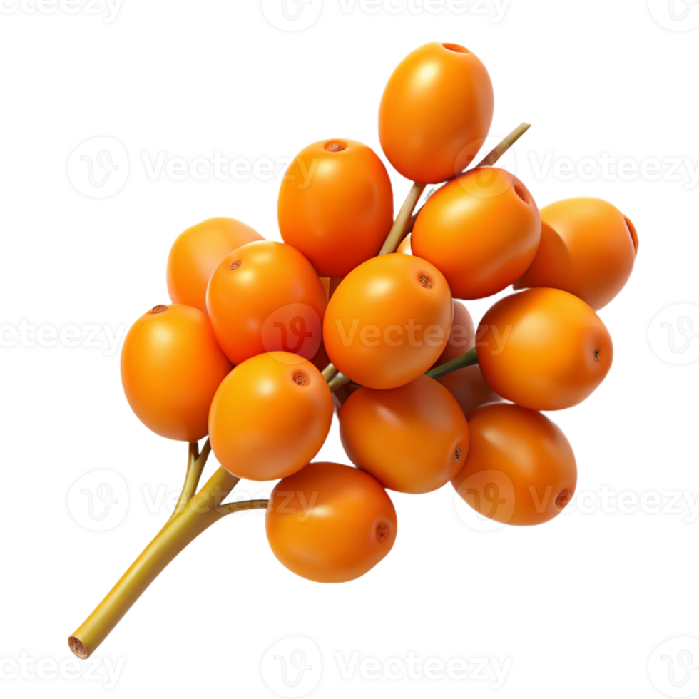 3D Render Sea Buckthorn Berries Bunch png