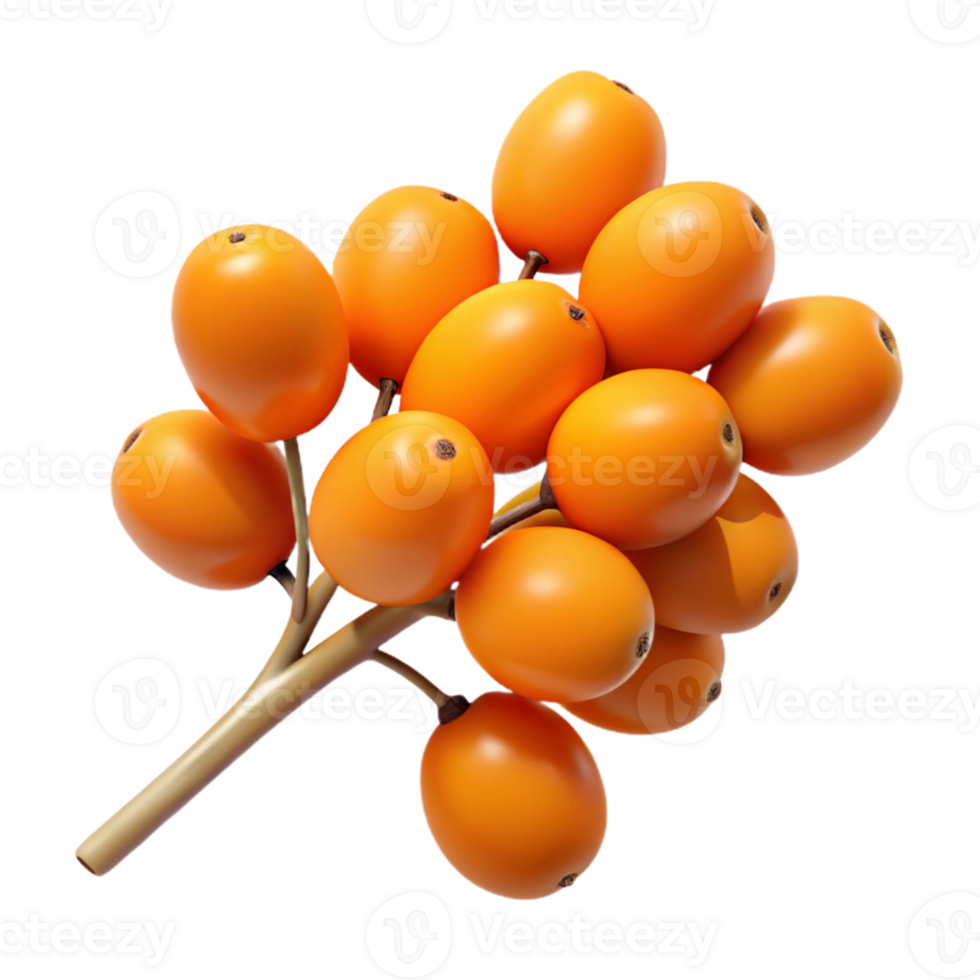 3D Render of Orange Berries on Branch png