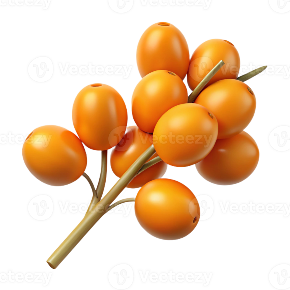 3D Illustration of Orange Berries on Branch png