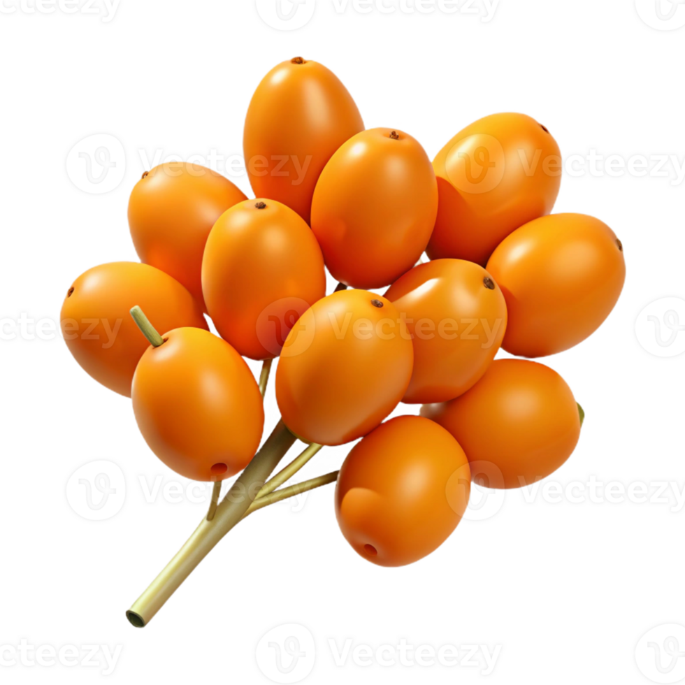 3D Render of Orange Fruits Bunch png