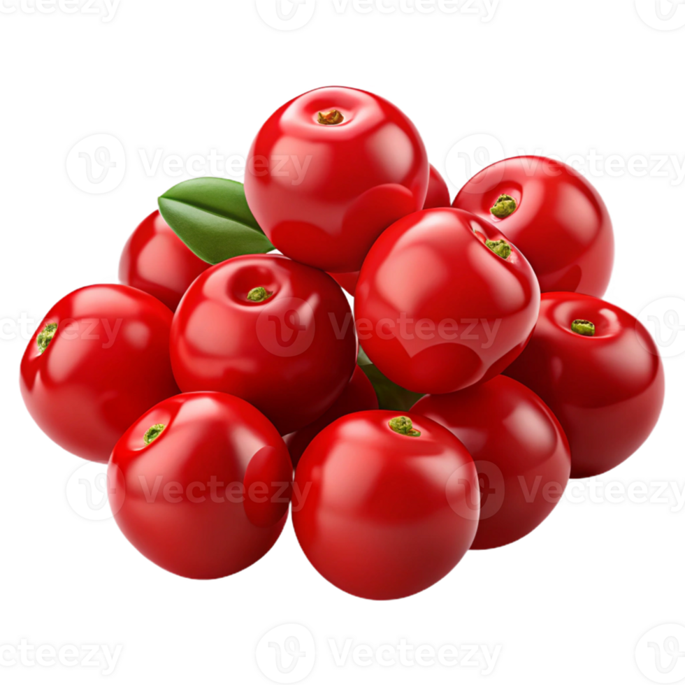 Red Cranberries 3D Illustration png