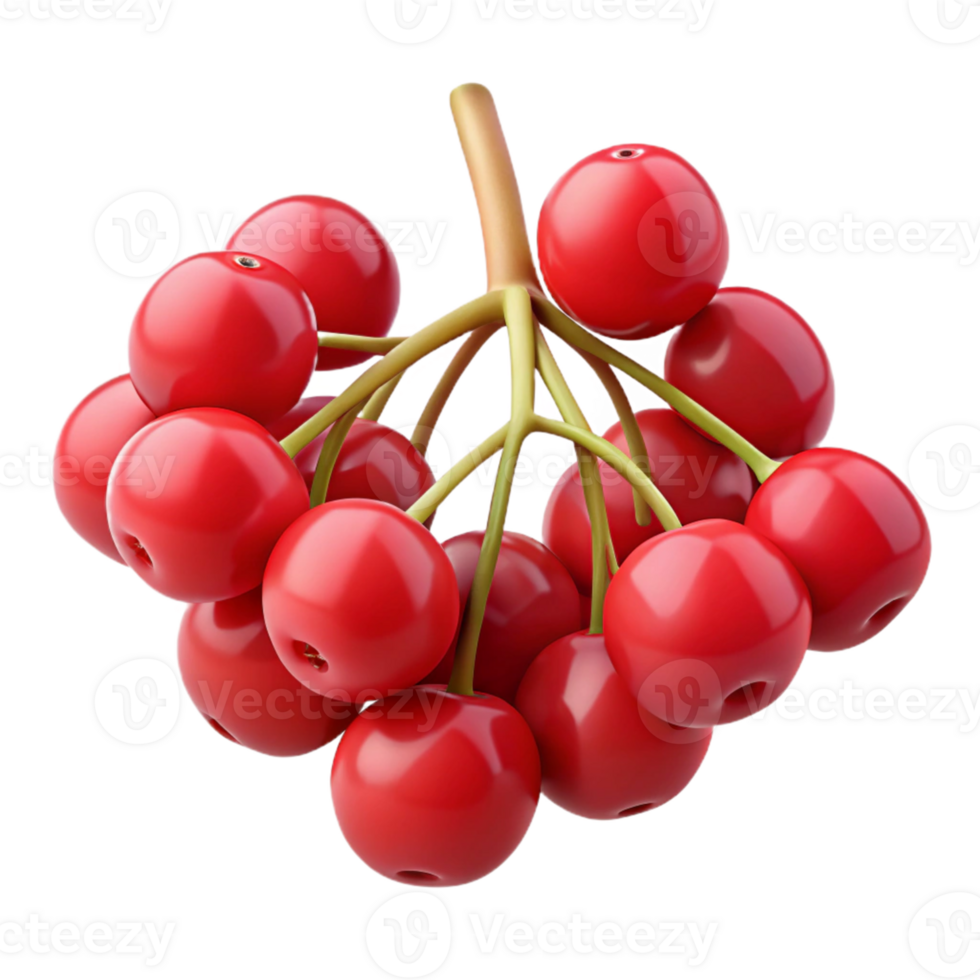 Red Berries 3D Illustration png