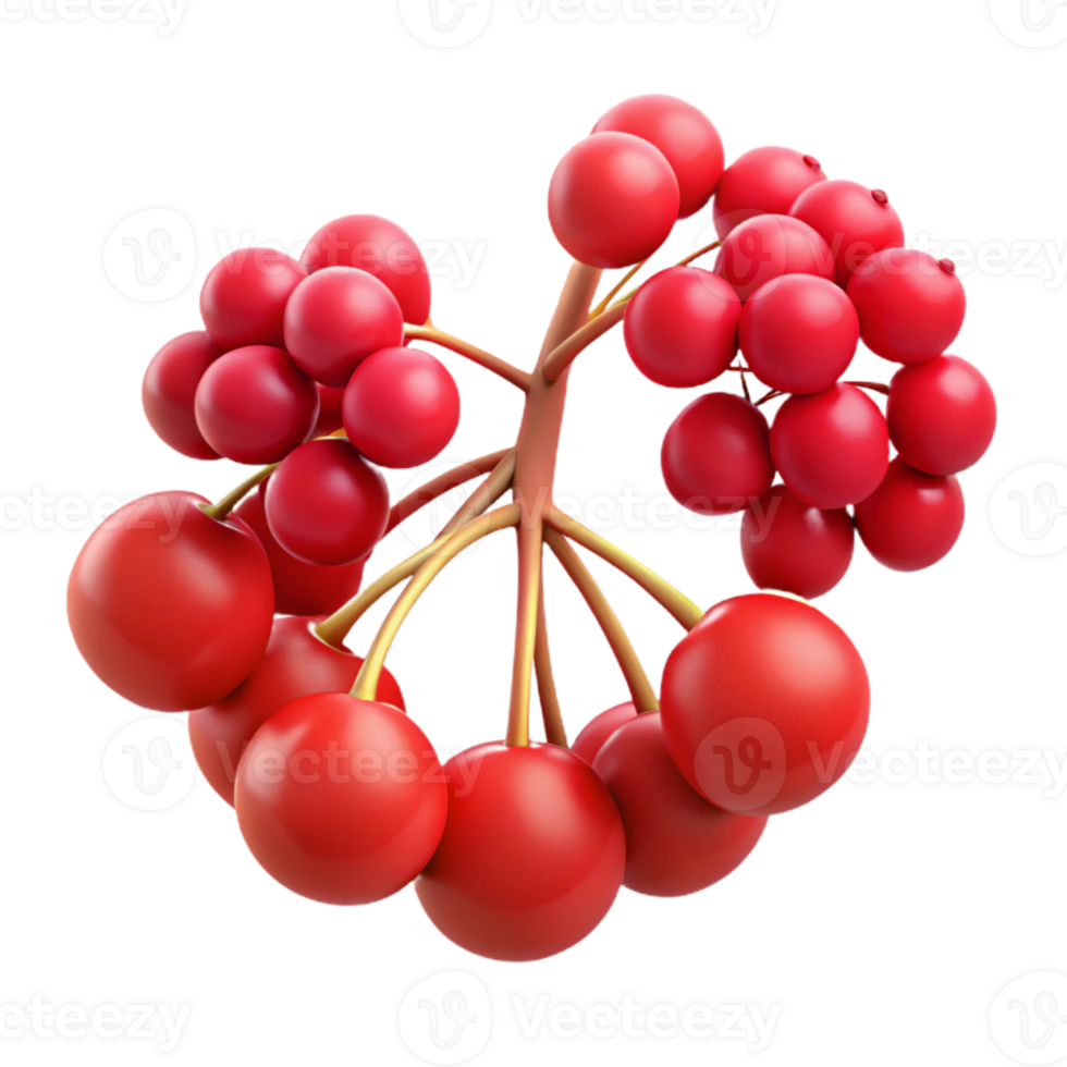Vibrant Red Berries 3D Illustration png