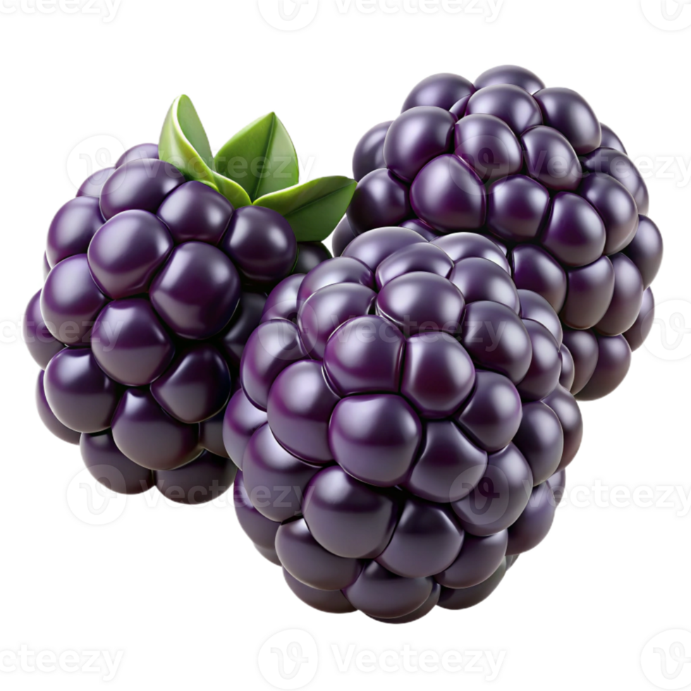 3D Render of Blackberries png