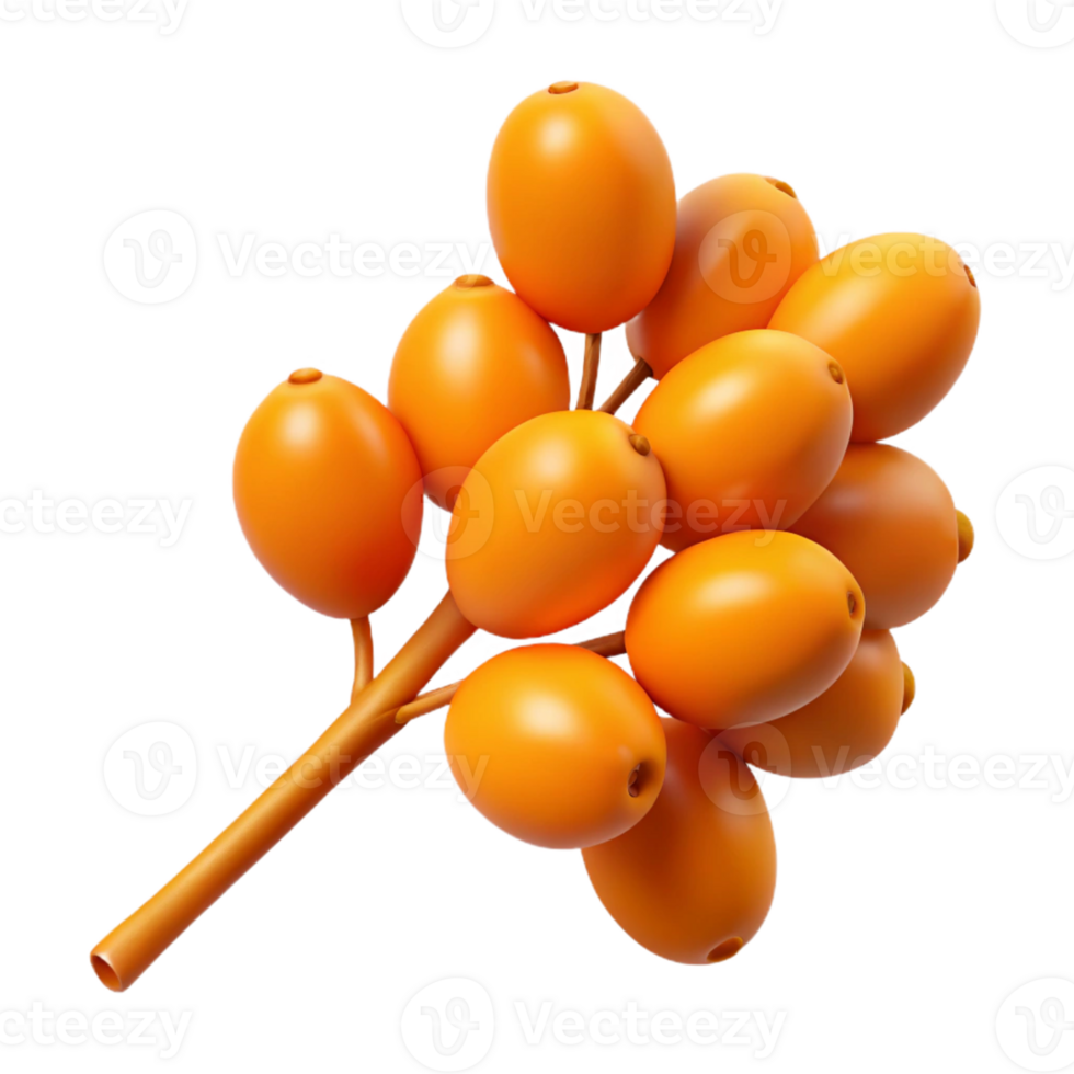3D Render of Orange Berries on Branch png
