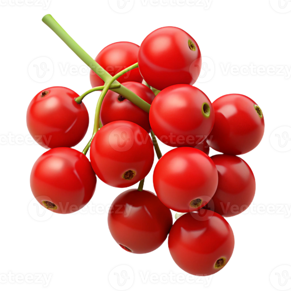 3D Render of Red Currants on Branch png