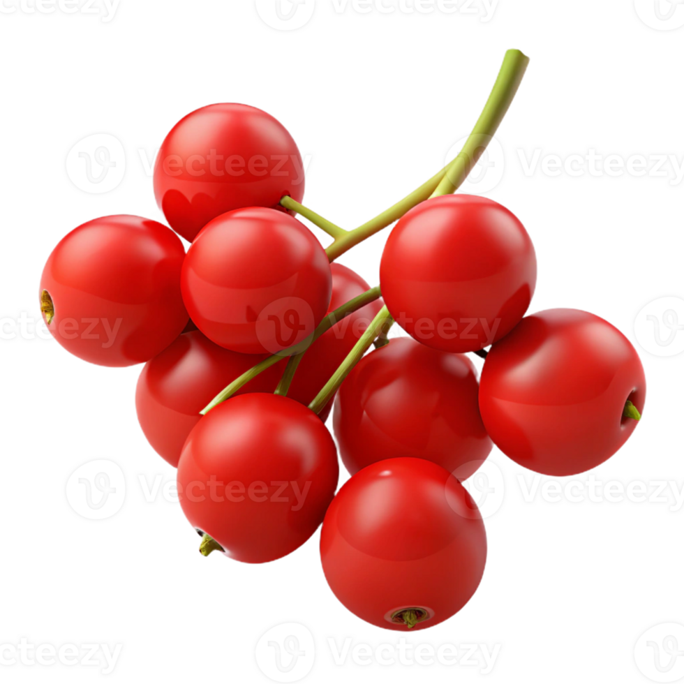 Red Berries 3D Illustration png