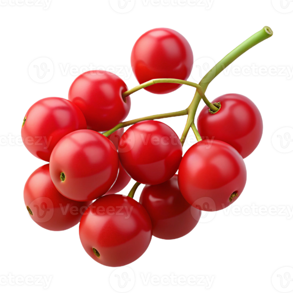 Red Berries Cluster 3D Illustration png