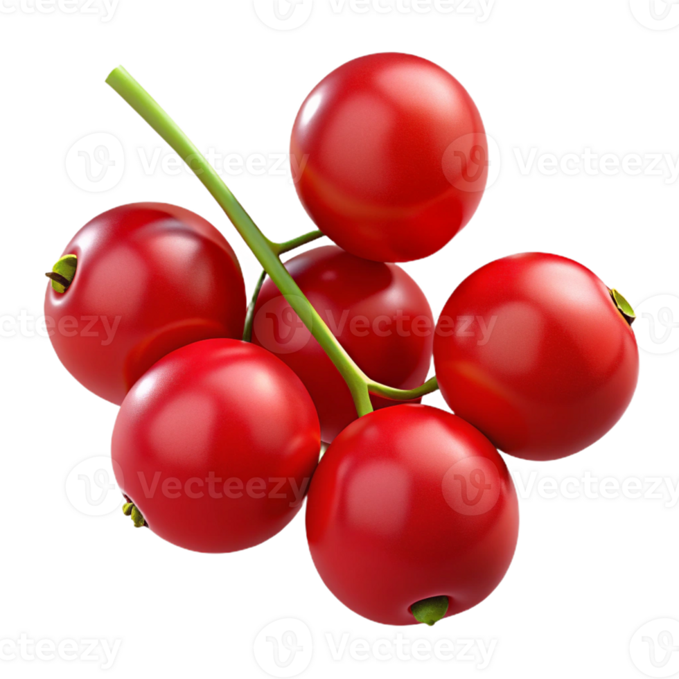 3D Render of Red Berries on a Branch png