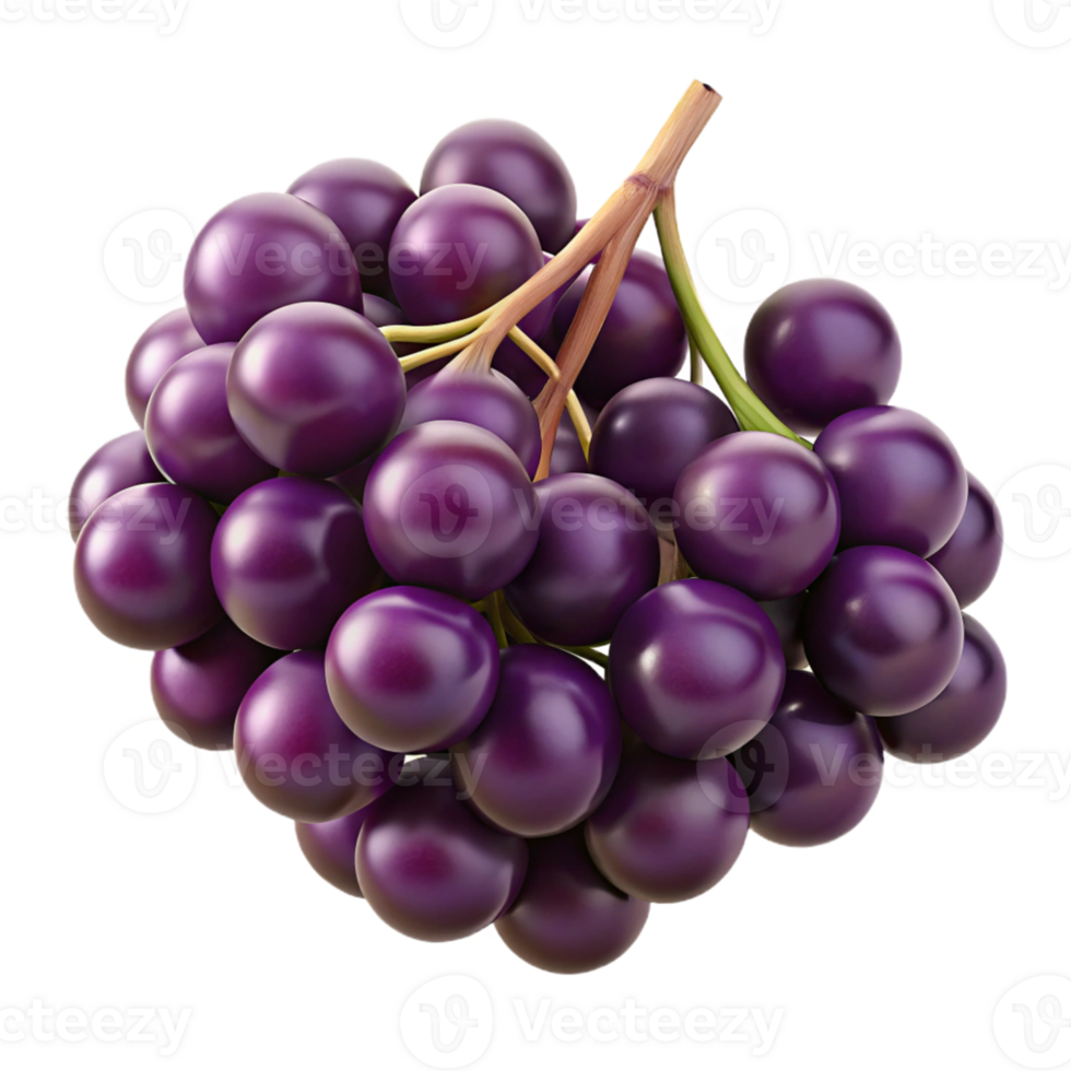 3D Render of a Lush Bunch of Purple Grapes png