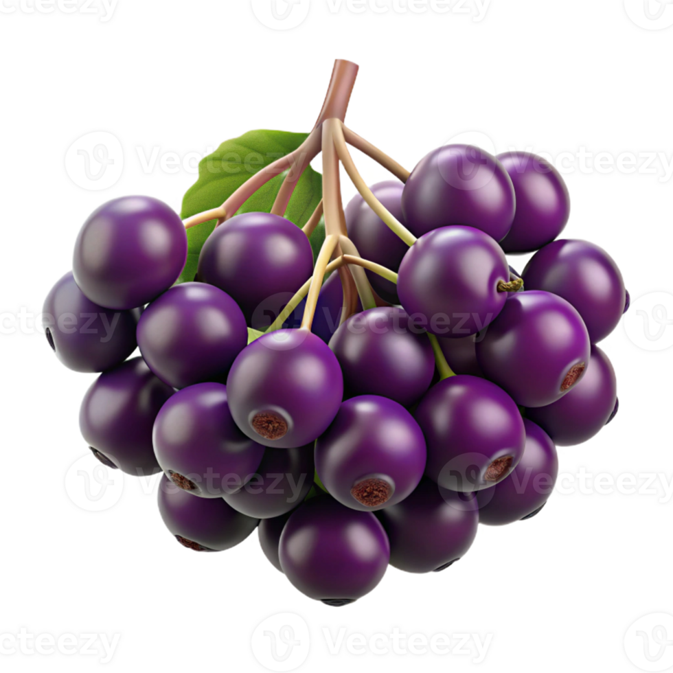 3D Illustration of a Bunch of Dark Purple Berries png