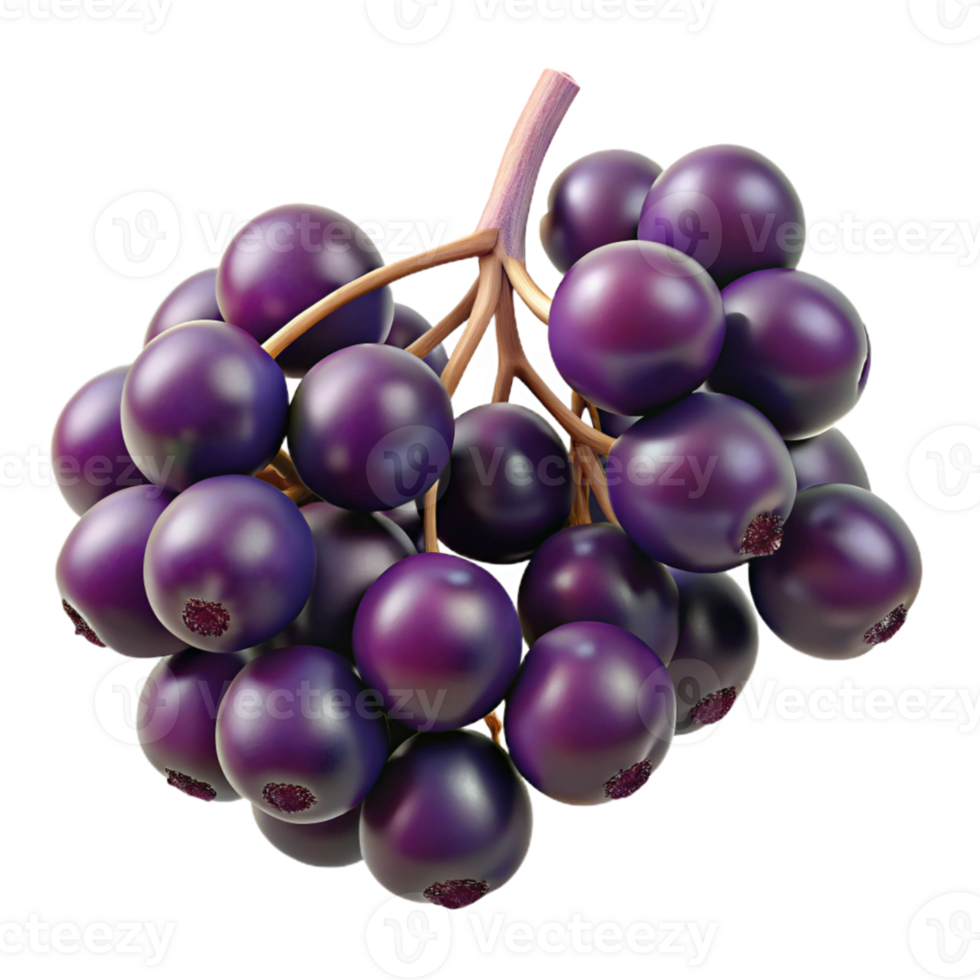 3D Render of Dark Purple Berries Cluster png